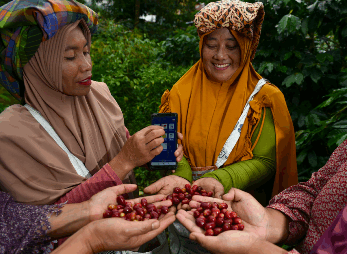 Ilustrasi petani kopi. Foto: BRI.