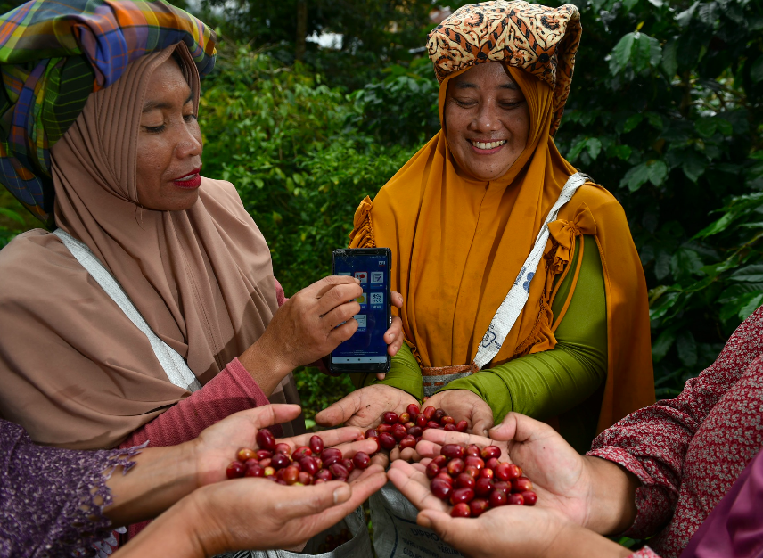 Ilustrasi petani kopi. Foto: BRI.