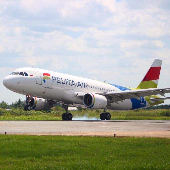 Pesawat maskapai penerbangan Pelita Air. Foto: Ist.